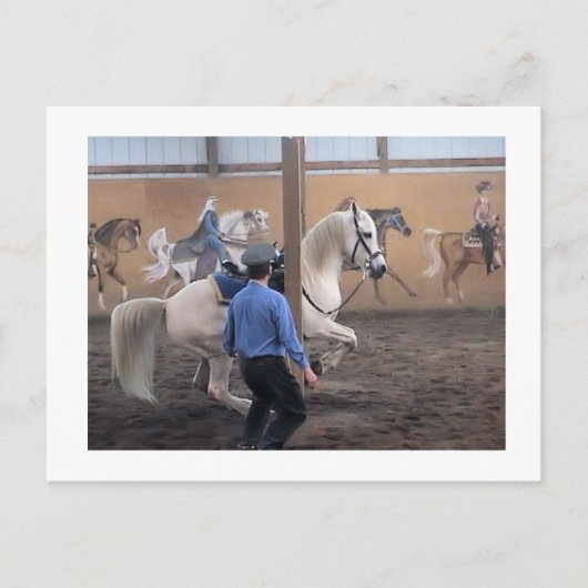 Zeus, Levade dans les piliers Carte postale (Devant)