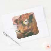 Zeus Red Belted Galloway Bull 2006 2 Vierkante Sticker (Envelop)
