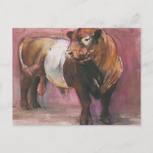 Zeus Red Belted Galloway Bull 2006 Briefkaart