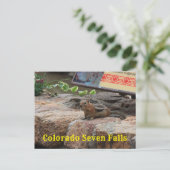 Zeven Herfsten Colorado G Squirrel closeup Post Ka Briefkaart (Staand voorkant)