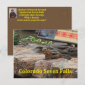 Zeven Herfsten Colorado G Squirrel closeup Post Ka Briefkaart (Voorkant / Achterkant)