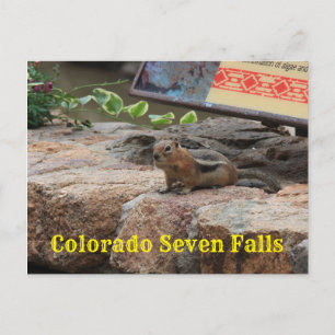 Zeven Herfsten Colorado G Squirrel closeup Post Ka Briefkaart