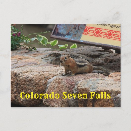 Zeven Herfsten Colorado G Squirrel closeup Post Ka Briefkaart (Voorkant)