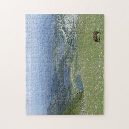 Zeven meren in het Rilagebergte in het wild paard Legpuzzel (Verticaal)