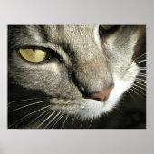 zeven poster (Voorkant)