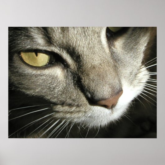 zeven poster (Voorkant)