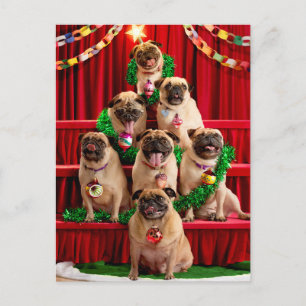 Zeven Pugs-a-Poze Uitnodiging Briefkaart