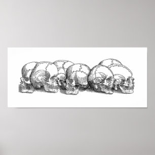 Zeven  Skulls Poster