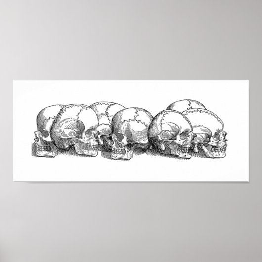 Zeven  Skulls Poster (Voorkant)