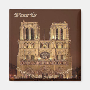 zFR061 NOTRE DAME Paris, Frankrijk, Fridge Magneet