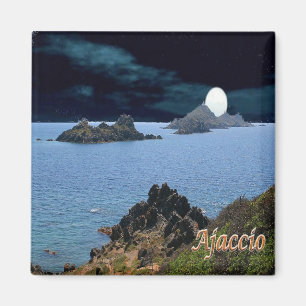 zFR127 AJACCIO panorama, Corsica, Fridge Magneet