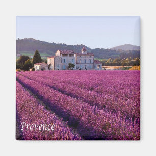 zFR149 PROVENCE, Frankrijk, Fridge Magneet