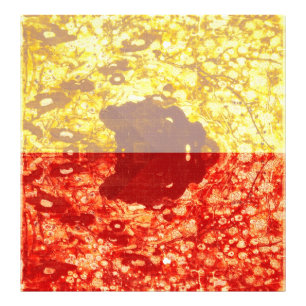 Zhao Chang - Photo du Nouvel An (Modifié)