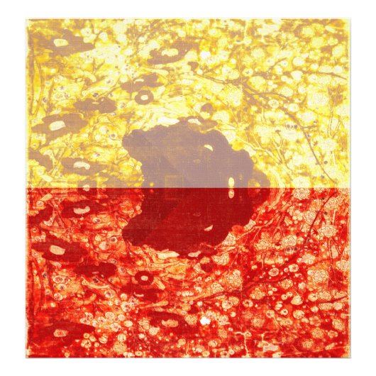 Zhao Chang - Photo du Nouvel An (Modifié) (Devant)