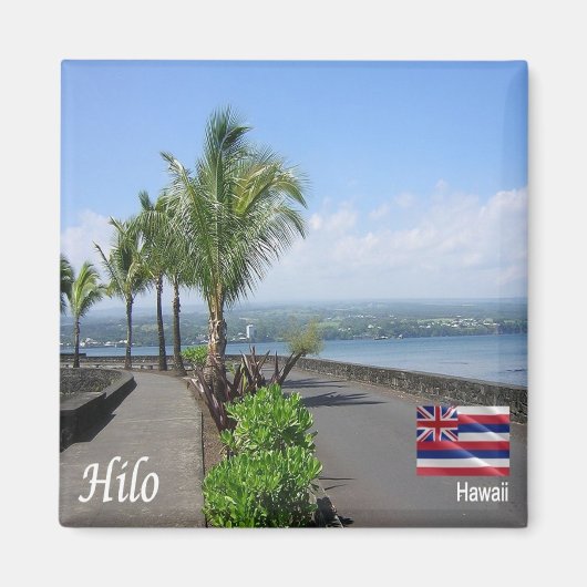 ZHI012 HILO, HAWAII, Panorama, Oceanië, Fridge Magneet (Voorkant)