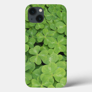 Zicht op Oxalis Oregana hout Zuring Loof iPhone 13 Hoesje