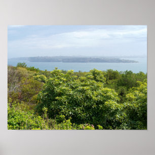 zicht op Sydney Harbour vanuit Manly Poster