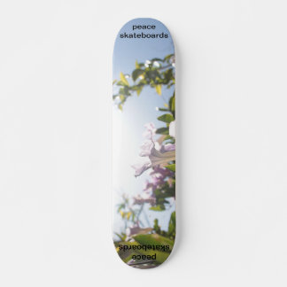 Zie het lichte skateboard