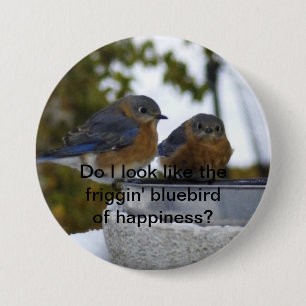 Zie ik eruit als de broekvogel van het geluk... ronde button 7,6 cm