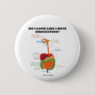 Zie ik eruit alsof ik indigestie heb? (Medisch) Ronde Button 5,7 Cm