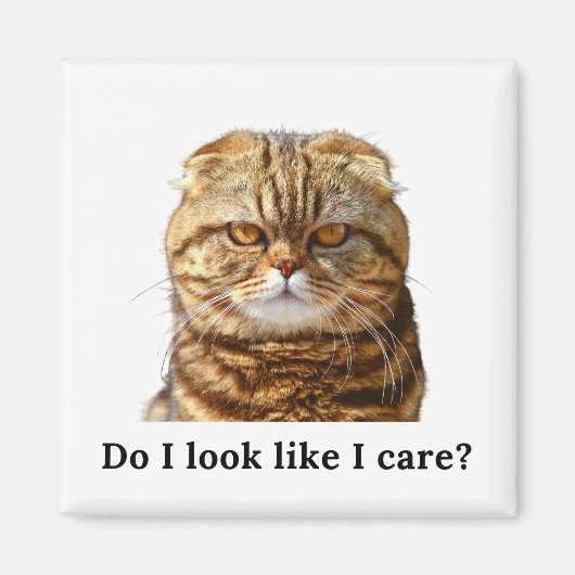 "Zie ik eruit alsof ik me zorgen maak" Grumpy Cat Magneet (Voorkant)