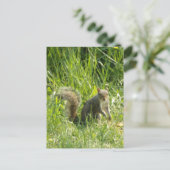 Zie je eekhoorn Briefkaart (Staand voorkant)