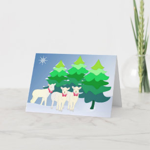 Zie je kleine schapen? feestdagen kaart
