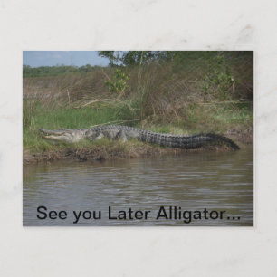 Zie je later alligator briefkaart