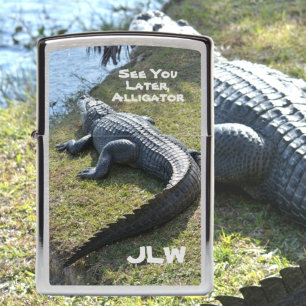 Zie je later Alligator Everglades