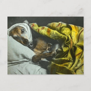 Ziek als een hond Word snel gezond  toverlantaarn Briefkaart