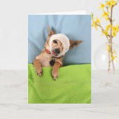 ziek-blauw kaart (Gele Bloem)