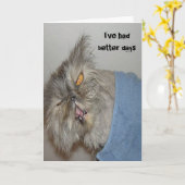 Ziek kat kaart (Gele Bloem)