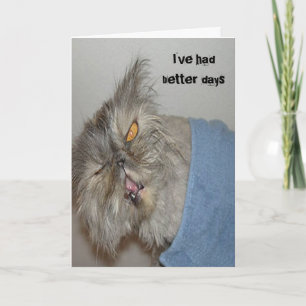 Ziek kat kaart