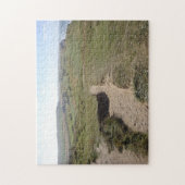 Ziekenlandschap met zand- en grasvoetfoto legpuzzel (Verticaal)