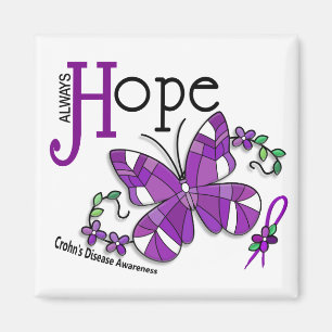 Ziekte van Crohn van de Glas in lood Magneet