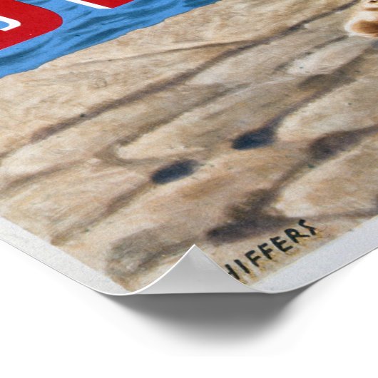  ziekte van Venerea Poster (Hoek)