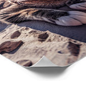 Ziektekop met zonnebrillen Poster (Hoek)