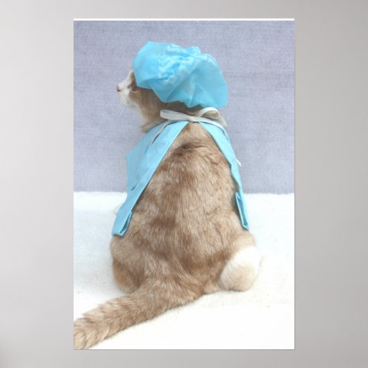 Ziekteverzekering Poster (Voorkant)