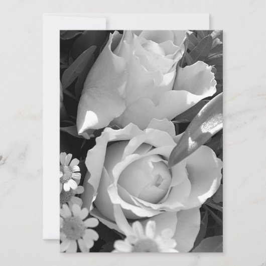 zielig roos (Voorkant)