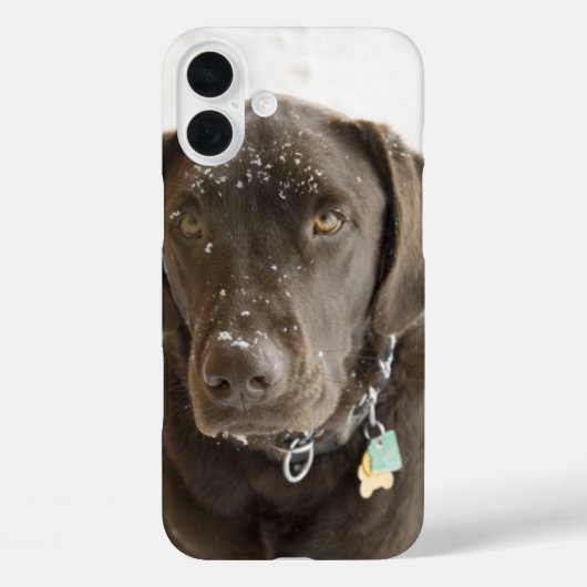 Zielvolle Sneeuw Besprenkeld Chocolade Labrador  Case-Mate iPhone Case (Achterkant)