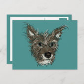 ziepups briefkaart (Voorkant / Achterkant)