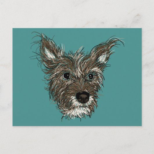 ziepups briefkaart (Voorkant)