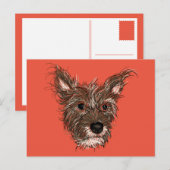 ziepups briefkaart (Voorkant / Achterkant)
