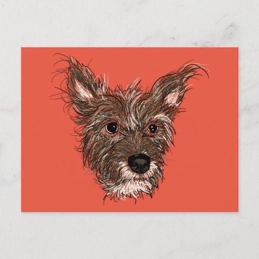 ziepups briefkaart (Voorkant)