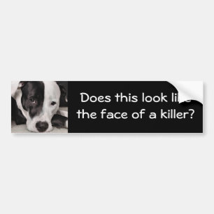 Ziet dit eruit als het gezicht van een kil... bumpersticker