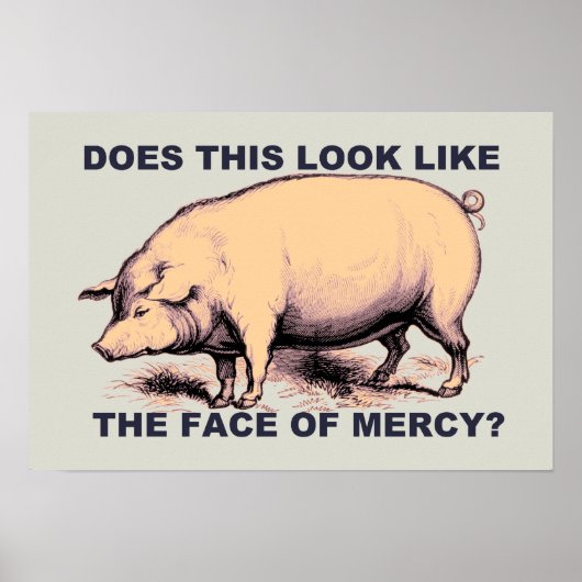 Ziet dit eruit als het gezicht van Mercy? Grumpy P Poster (Voorkant)