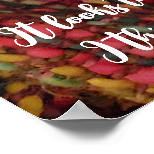 Ziet er te maandag uit, schattig kat onder deken poster (Hoek)