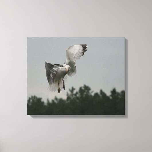 Zig Zag Canvas Print (Voorkant)