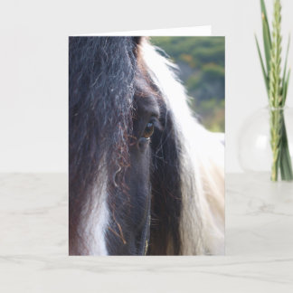 Zigeuner Vanner Notecard Kaart