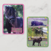 Zigeuner - Visitekaartje (Voorkant / Achterkant)